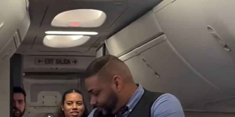 Stowaway cat on a plane: crew's reaction captivates 2.6 million people (video)