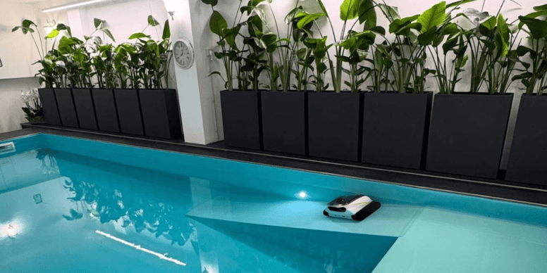 A Milano apre Doggy Pool: la prima piscina per cani pensata per salute, gioco e riabilitazione