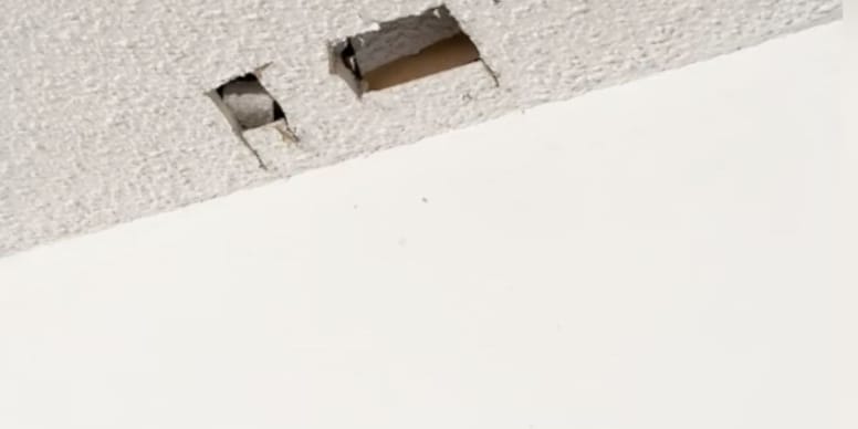 Arizona Resident Hears Mysterious Meowing in Ceiling