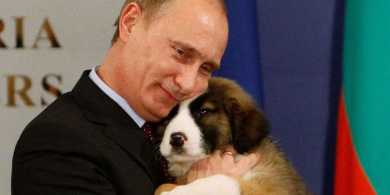 Wie Viele Hunde Hat Putin Putin: Hunde des Präsidenten von Russland