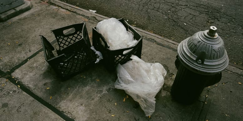 Wandelaar vindt vier kittens opgesloten in een plastic zak: voor twee kwam de hulp te laat
