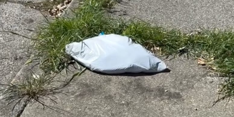 She went to her car to get a parcel and heard a cry: what she found in ...