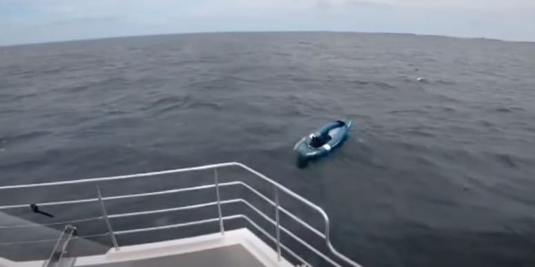 Hond in kajak de zee op geblazen: twee uur later doen zeelieden een onverwachte ontdekking