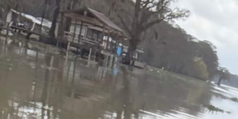 Dwa oczy wpatrują się w niego z bagna. Mężczyzna zamiera z przerażenia na widok psa