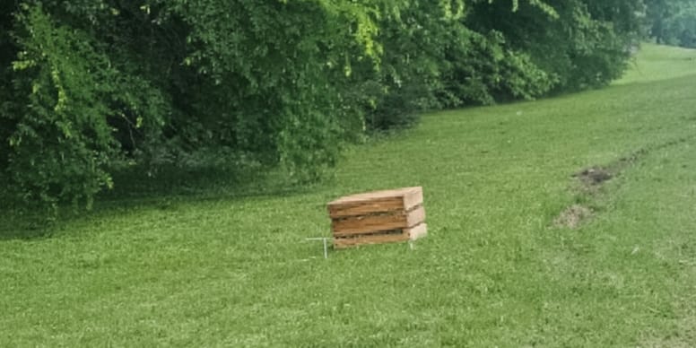 Jennifer Pond findet winziges Kätzchen im Gras – doch der wahre Schock verbirgt sich unter einer Holzkiste