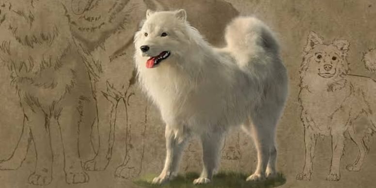 Wollhunde, eine fast ausgestorbene Hunderasse