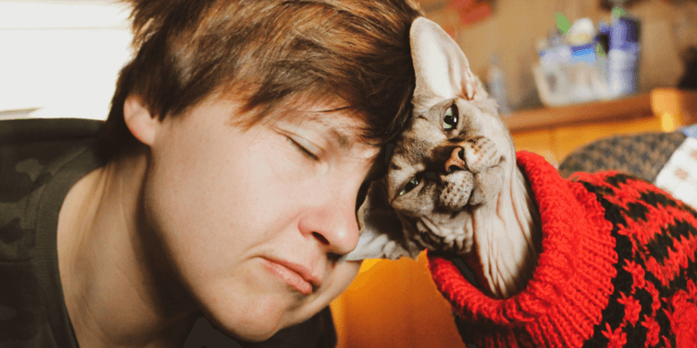 Why does my cat headbutt me?