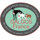 Logo de l'association GALGOS FRANCE