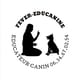 Fever Education Canine Cabourg