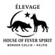 House of Fever Spirit