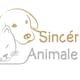 Sincérité Animale - Educatrice comportementaliste canin et félin - Pet sitting