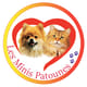 les minis patounes