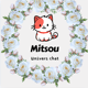 Mitsou Univers chat