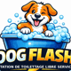 Dog FLash