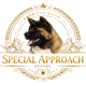 Special Approach