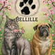 Bellille
