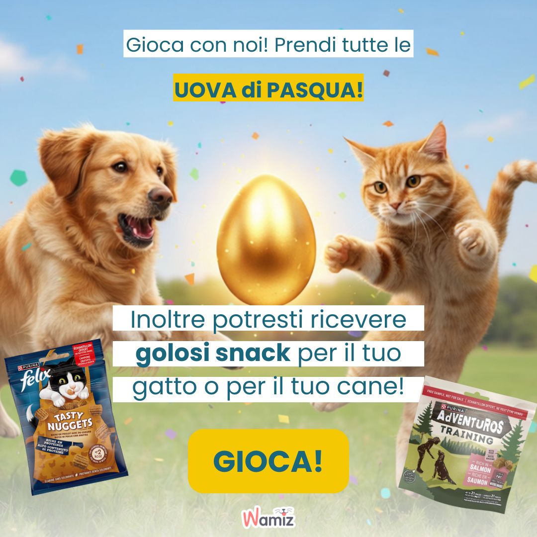 cane e gatto prendono uovo di Pasqua