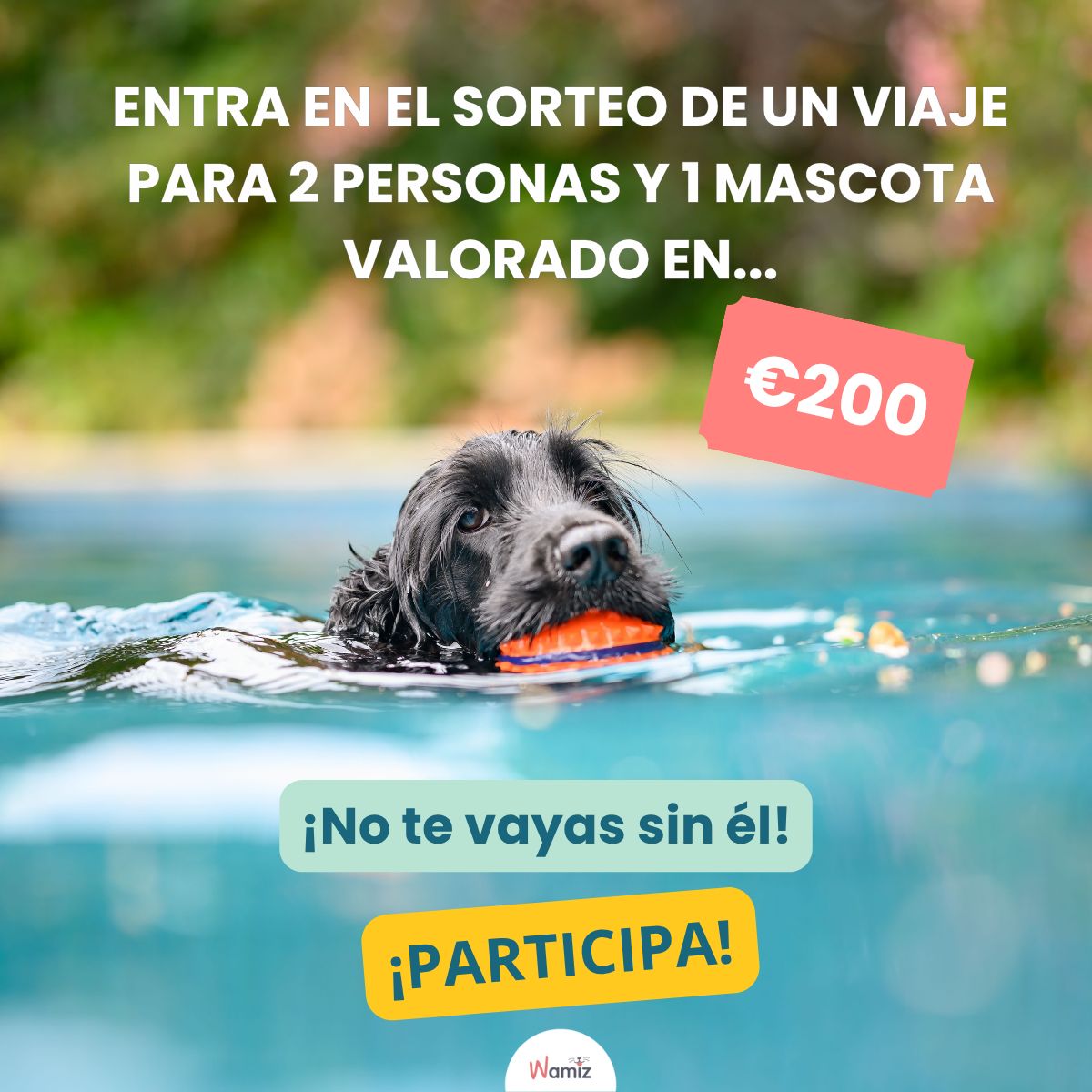 https://juego.wamiz.es/quiz/1799315_2429/sorteoescapada.html?utm_source=site-wamiz&utm_medium=article&utm_campaign=escapada&utm_term=cat-dog&utm_content=es-offer