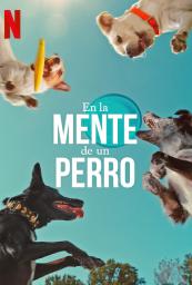 Serie de perros en Netflix