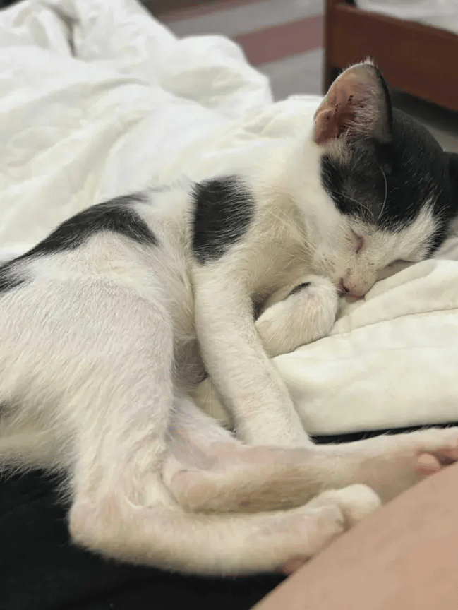 Nicoletravels__/Reddit