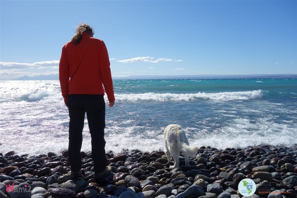 Voyager en argentine avec son chien