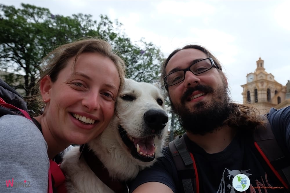 Voyager en Argentine avec son chien