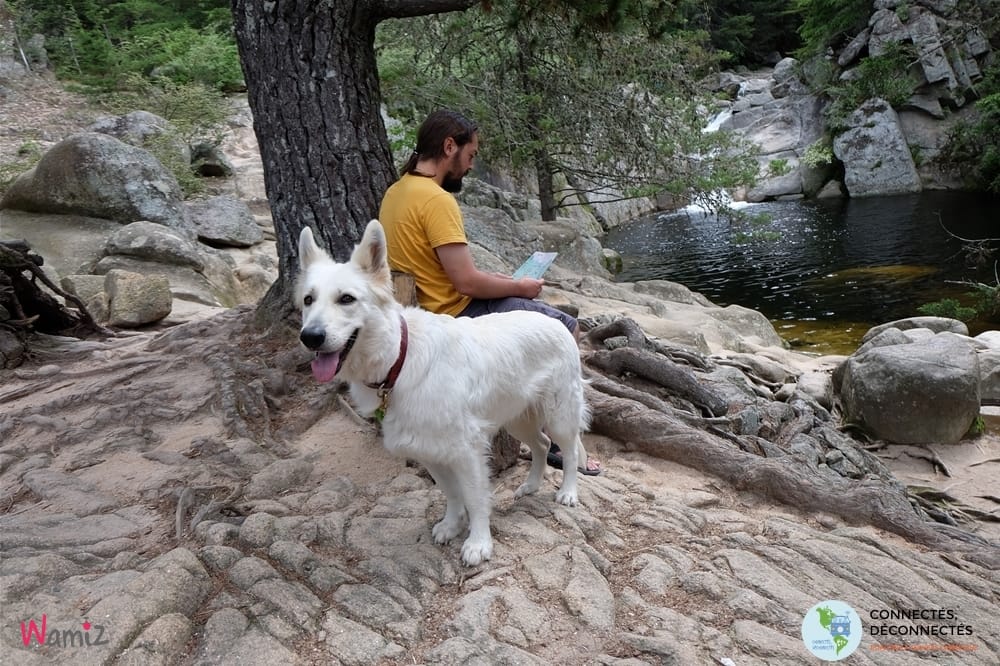 Voyager en argentine avec son chien