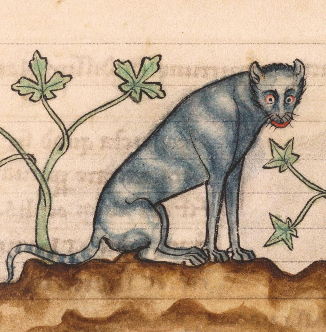 gato medieval