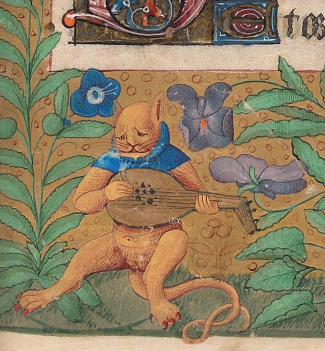 gato medieval