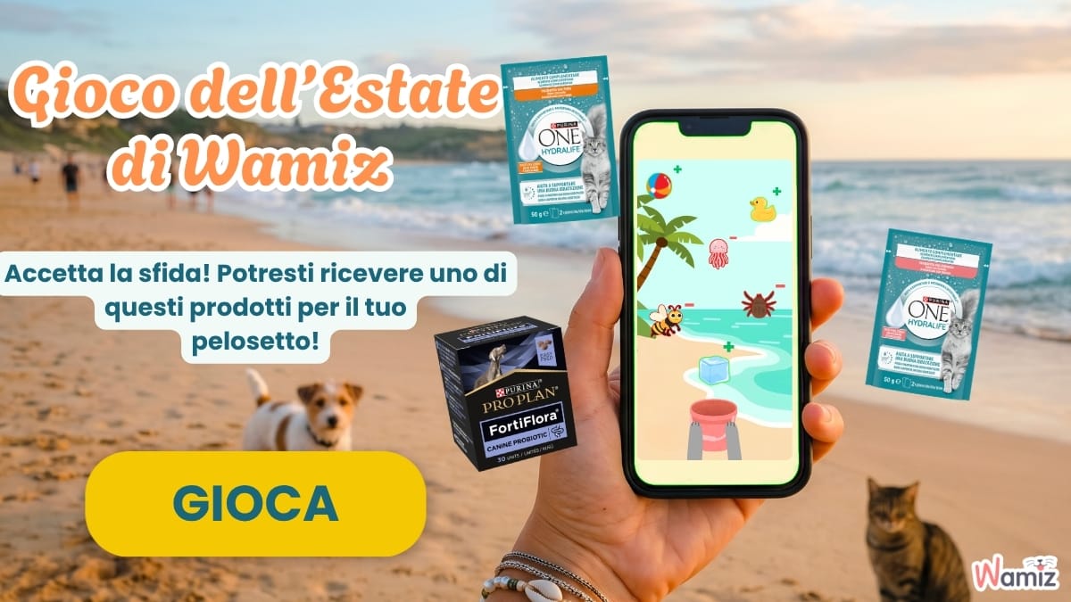 spiaggia, cellulare e prodotti Purina per cane e gatto 
