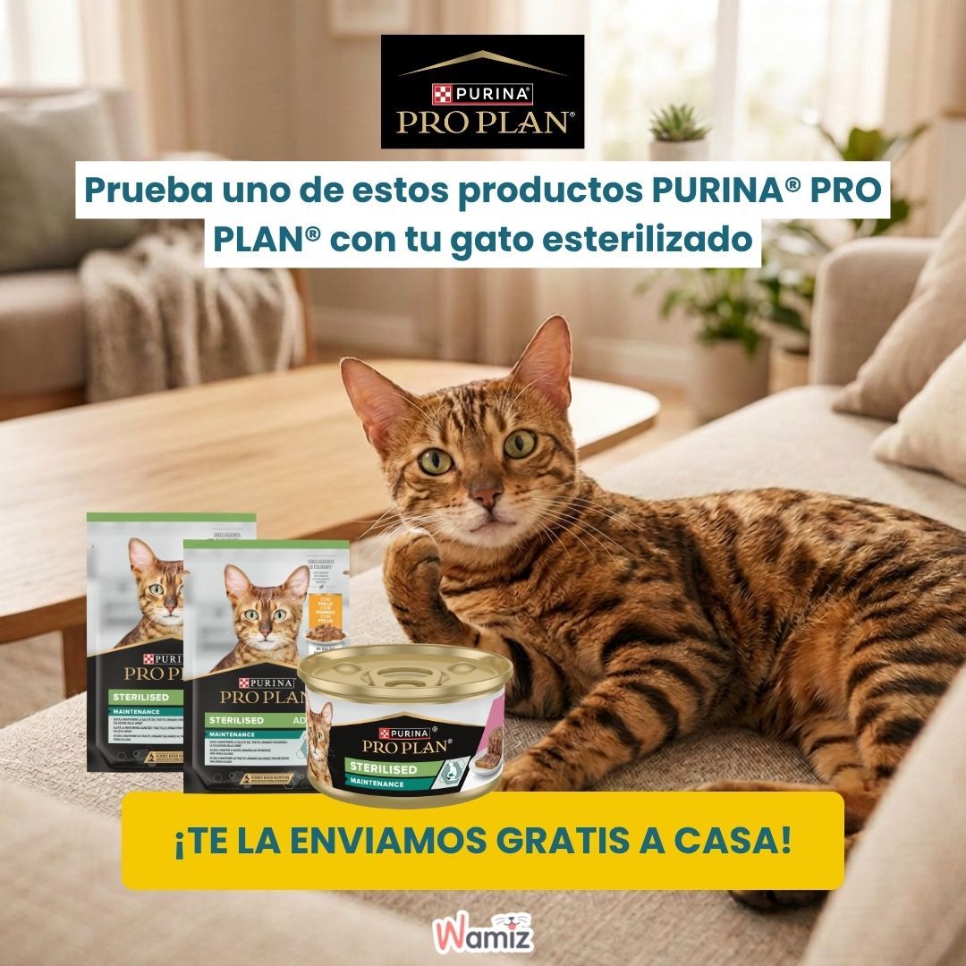 Sampling Pro Plan Wet Food CAT