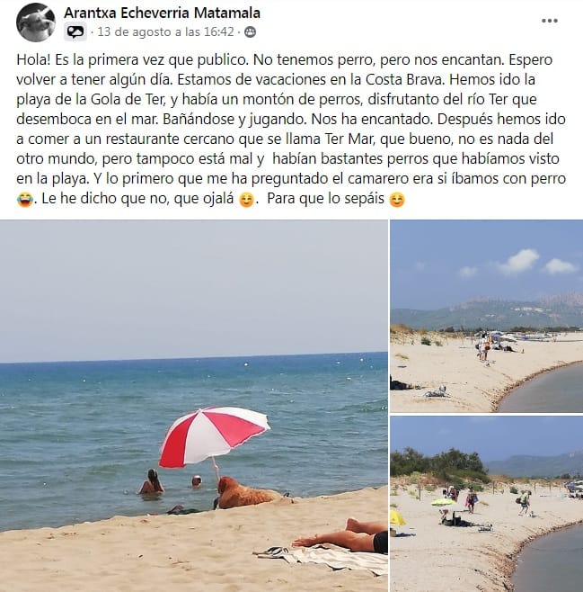 publicacion facebook perros playa