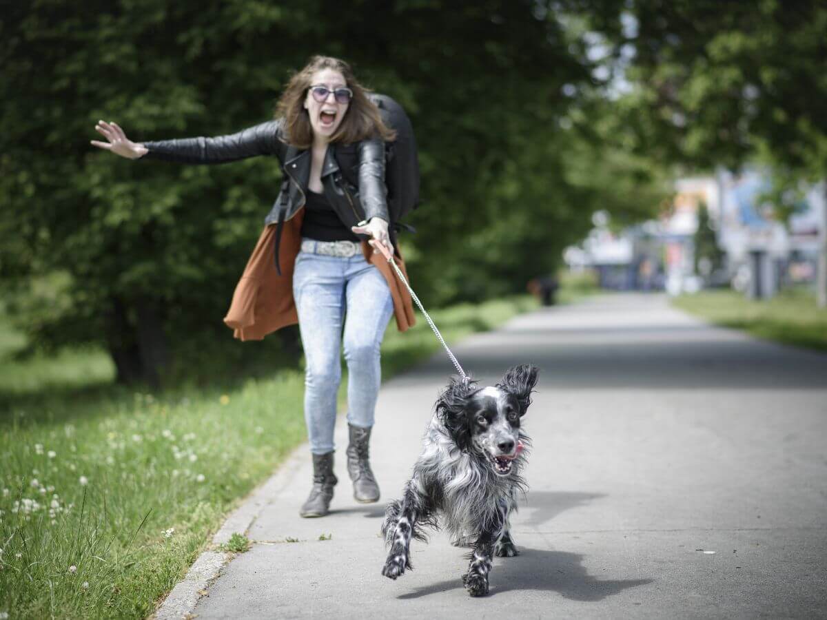 perro tirando de la correa en el parque