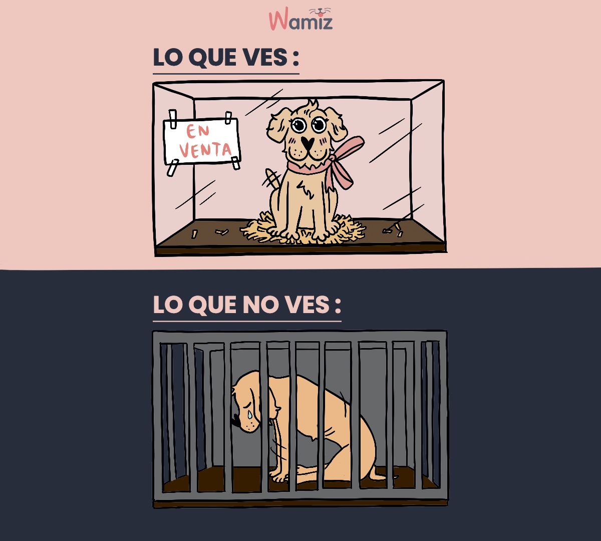 regalos que terminan en las perreras