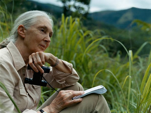 Jane Goodall
