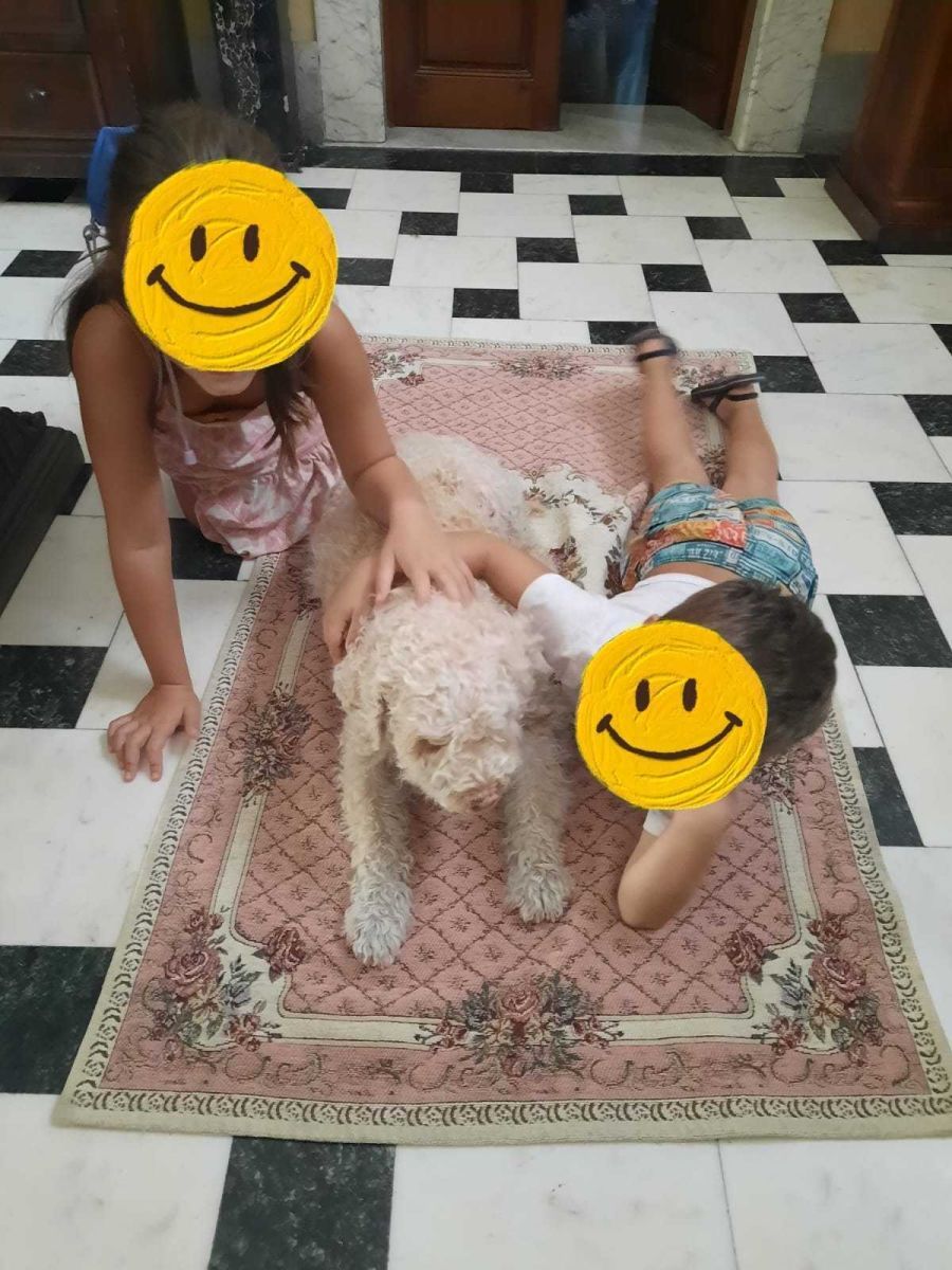 cane con bambini