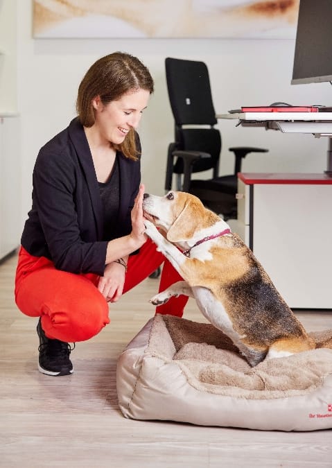 PURINA Pets at Work 2026