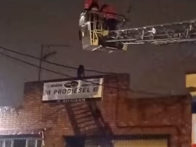 bomberos-segovia-rescantan-galgo-camion-escaleras