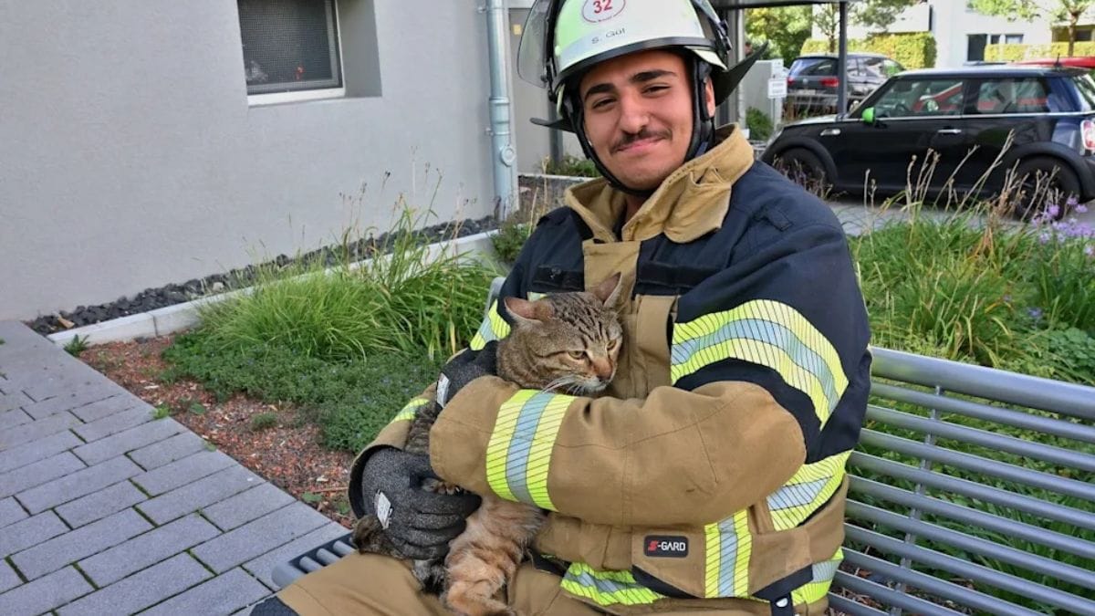 Katze und Feuerwehrmann