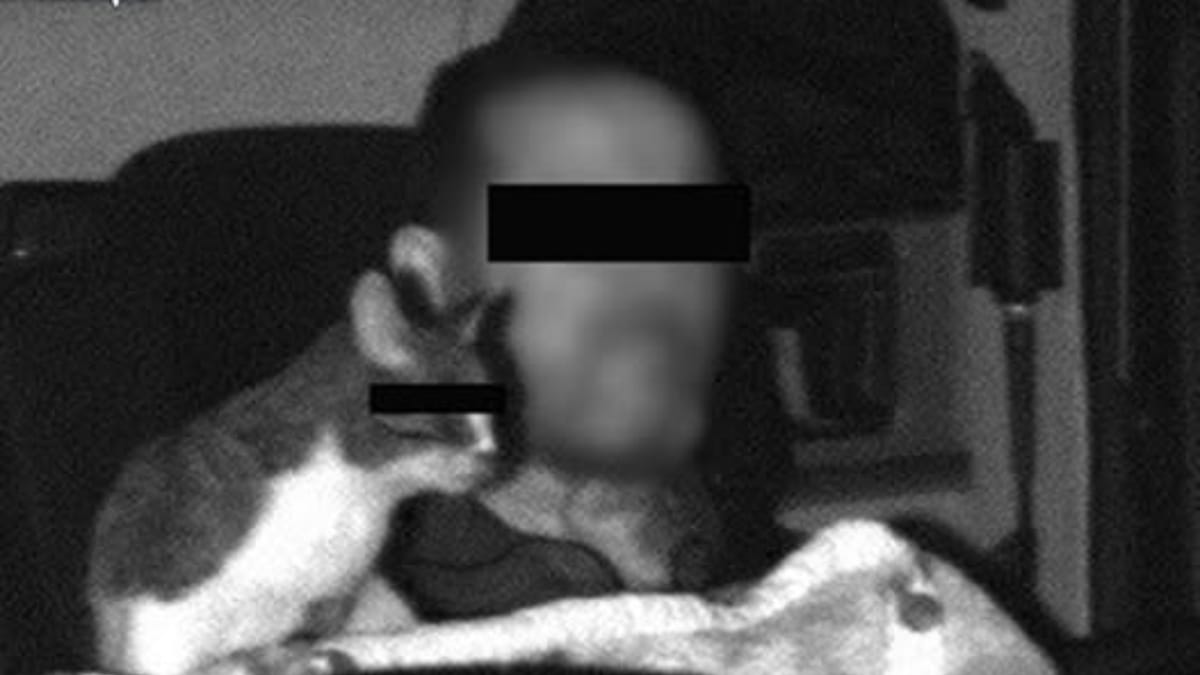 Blitzerfoto: LKW-Fahrer mit Katze