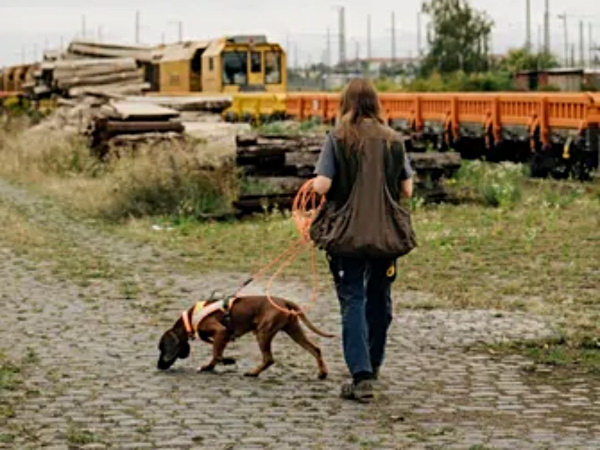 Artenschutzspürhund der Deutschen Bahn
