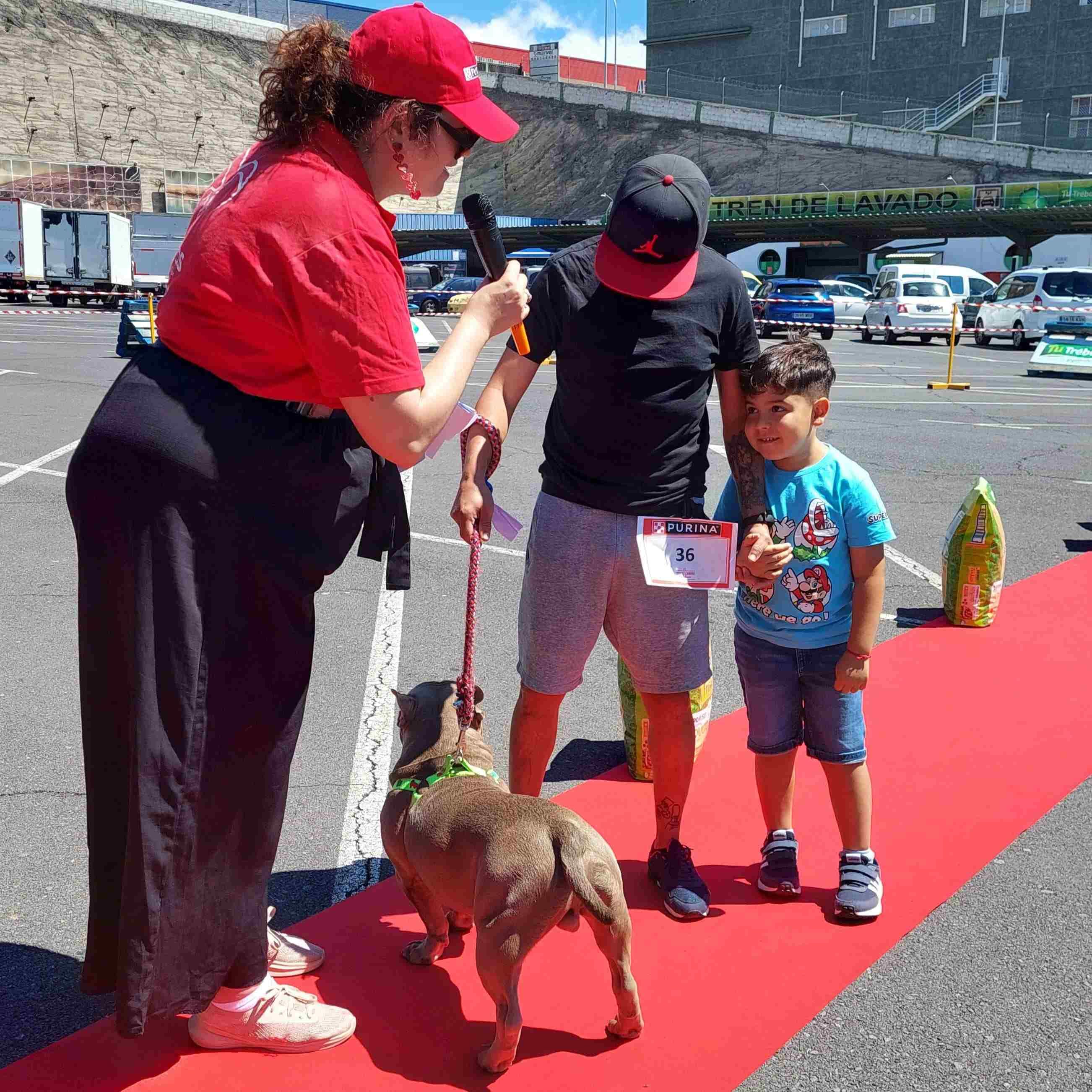 desfile-perros-solidario-tenerife-purina