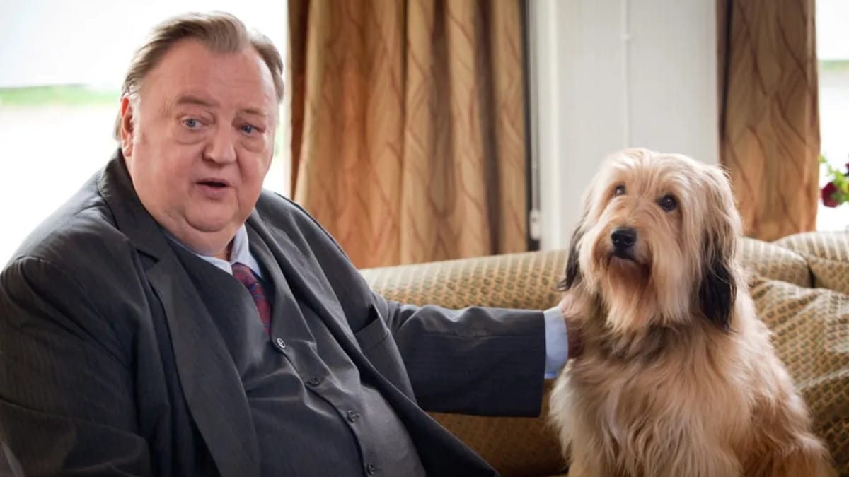 Die Kanzlei: Hund Teddy