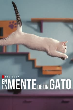 Serie Netflix sobre gatos