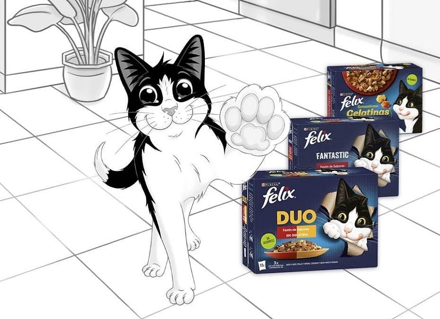 felix-purina-comida-humeda-gatos
