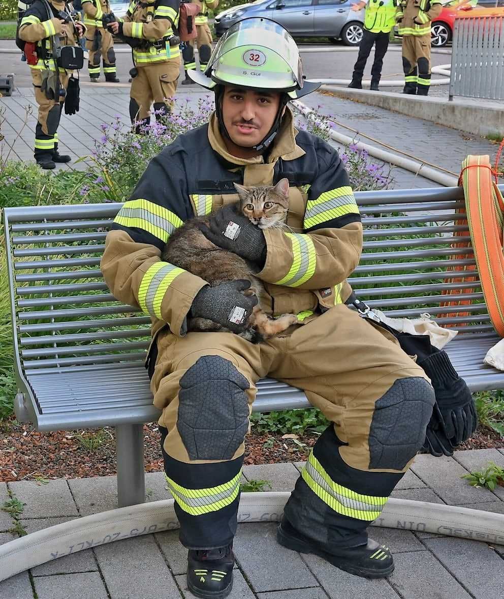 Katze und Feuerwehrmann
