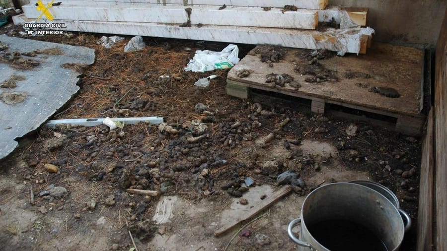 finca-cubierta-excrementos-perros-abandonados-la-rioja