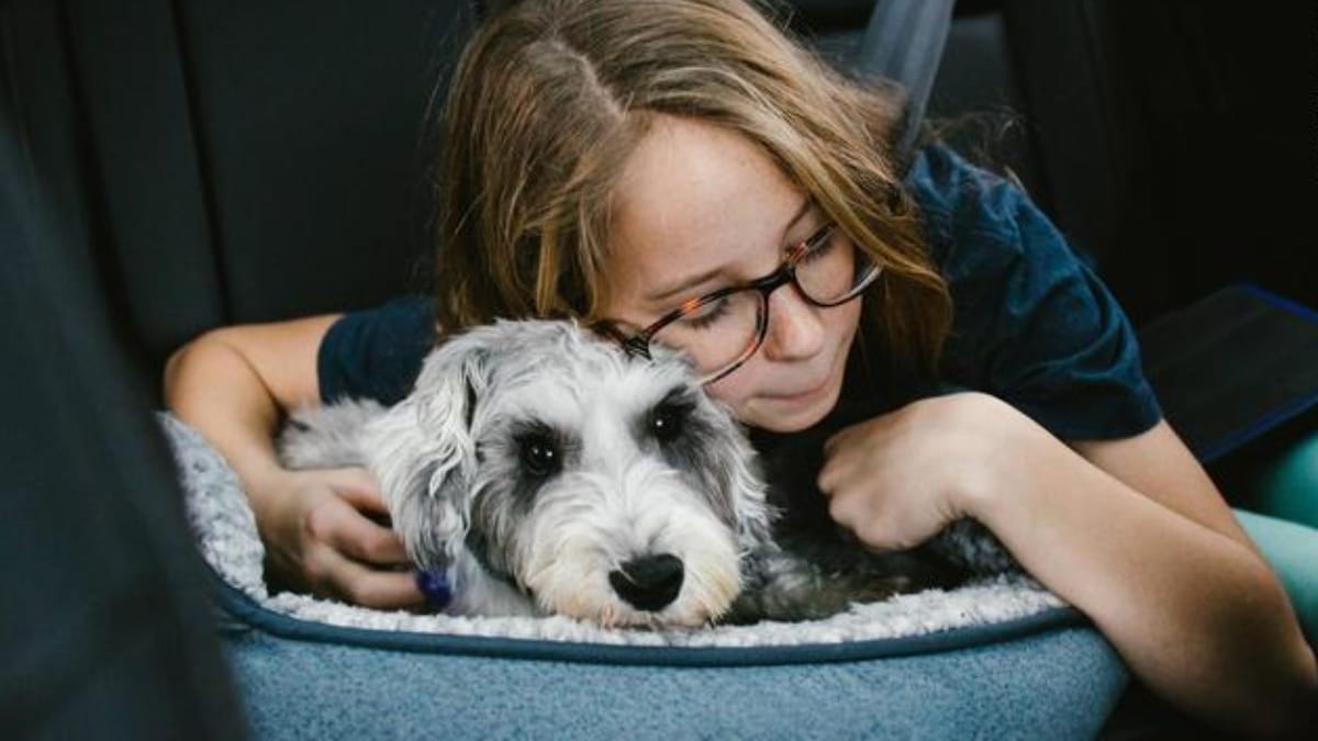 Stuttgarterin lebt wegen Hund im Auto