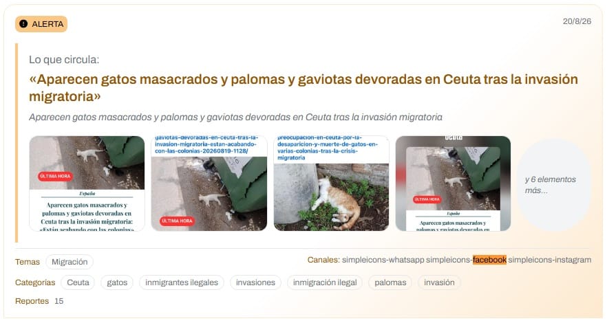 gatos-masacrados-malditaes