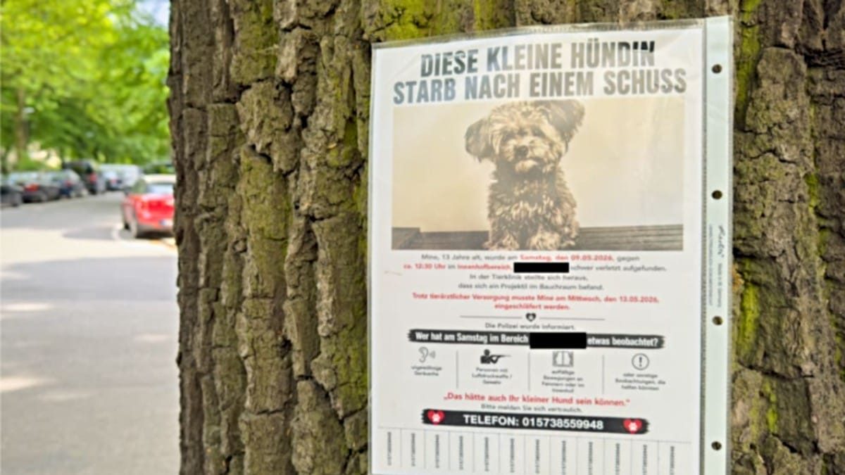 Suche nach dem Hamburger Hunde-Schützen